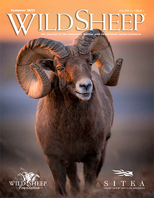 Wild Sheep magazine Summer 2023 Cover